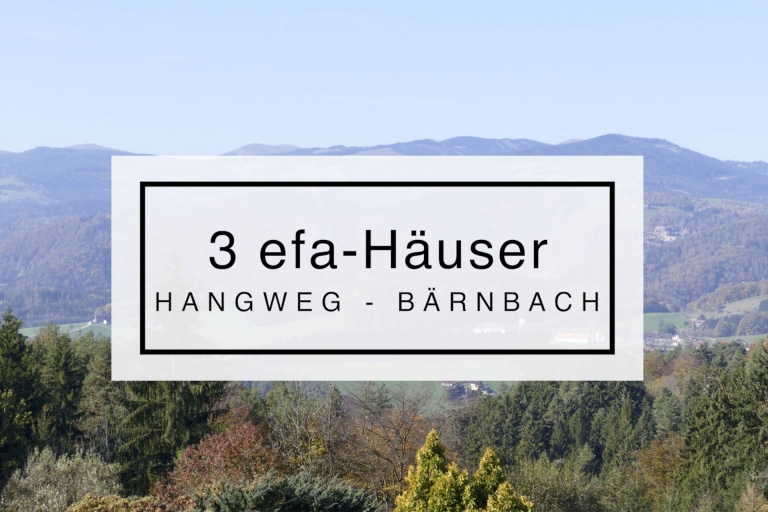 efa-level-3-haus Titelfoto Video, artivo, Bärnbach